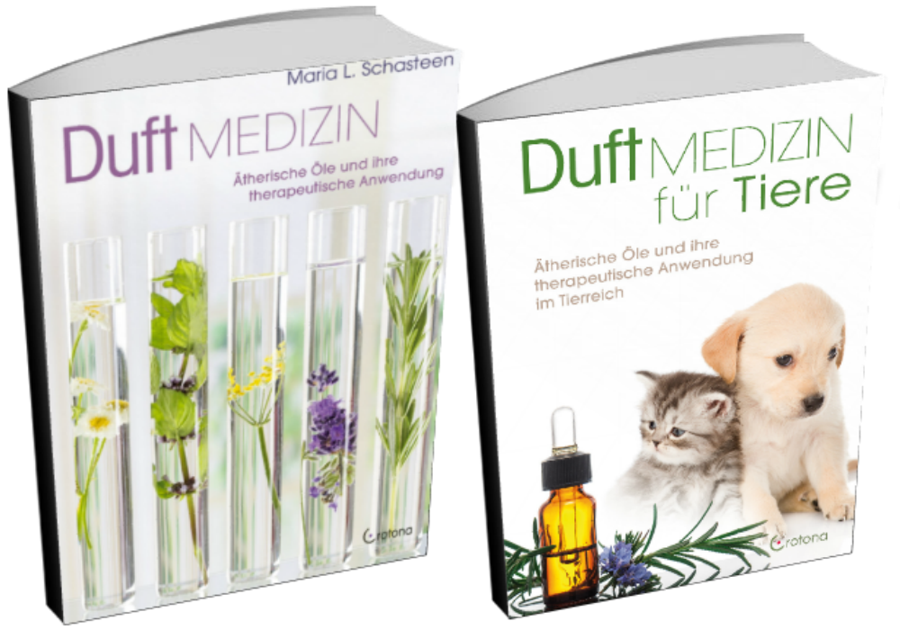 Buch Duftmedizin